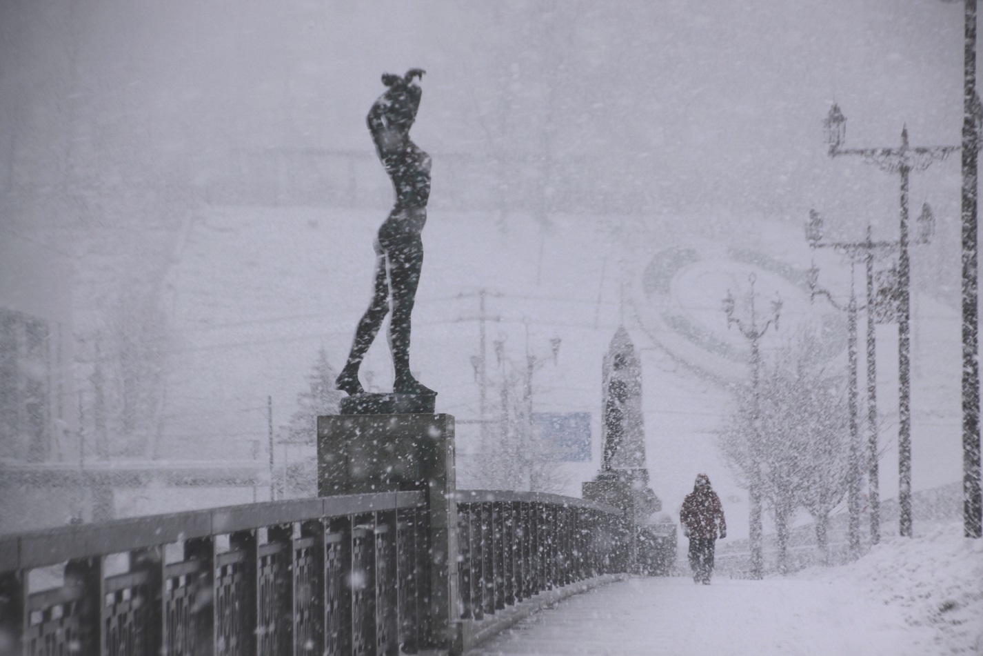 雪・悲喜いろいろ 1月9日_f0113639_16374570.jpg