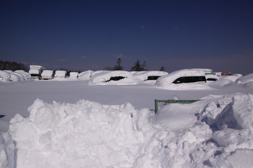 雪・悲喜いろいろ 1月9日_f0113639_16381904.jpg