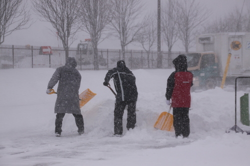 雪・悲喜いろいろ 1月9日_f0113639_16423943.jpg
