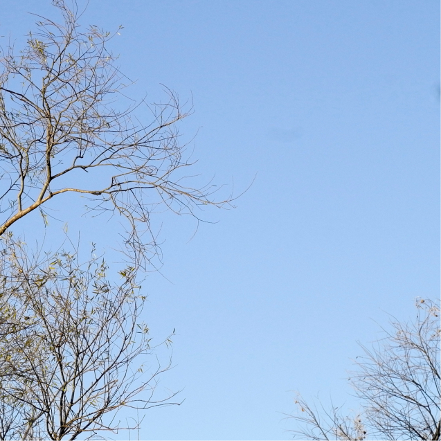 2021日記【022】古代の普遍と特異２６４_e0022344_16175759.jpg