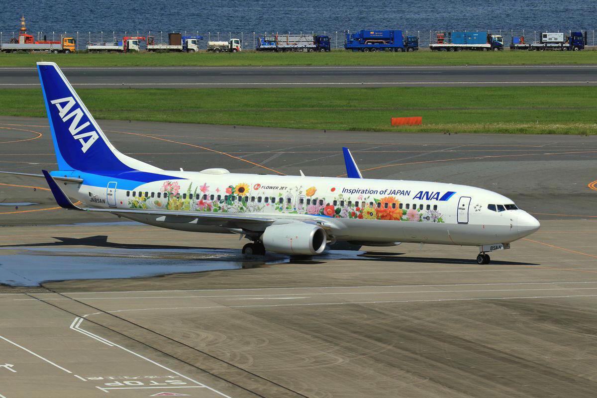 飛行機の減速装置 Granpa Toshiのeos的写真生活