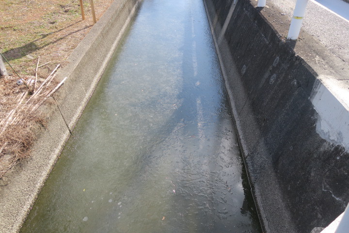 初詣サイクリング 2021_c0132901_16460520.jpg