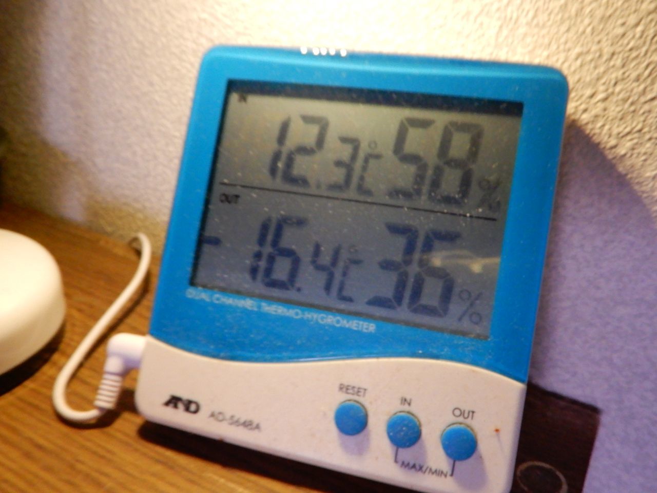 寒さは続く_c0025115_22295504.jpg