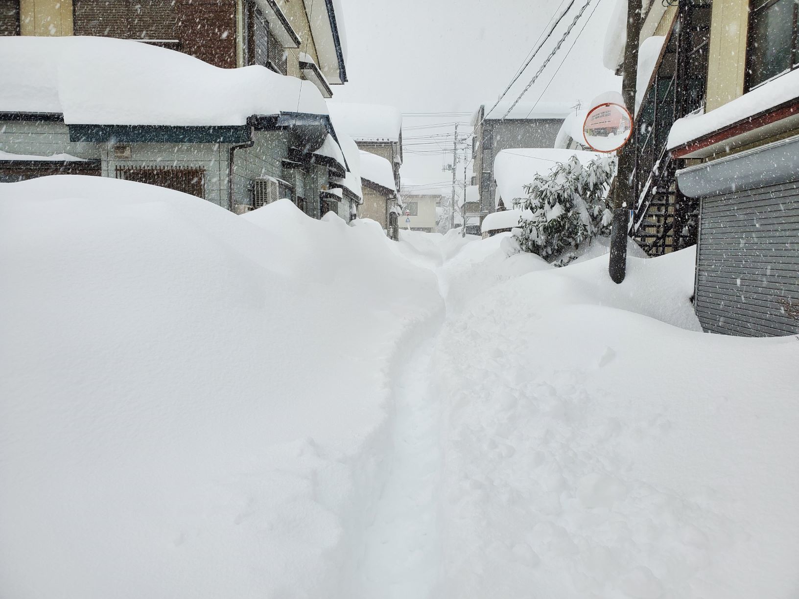 大雪の朝の道づくり_b0304722_18305232.jpg