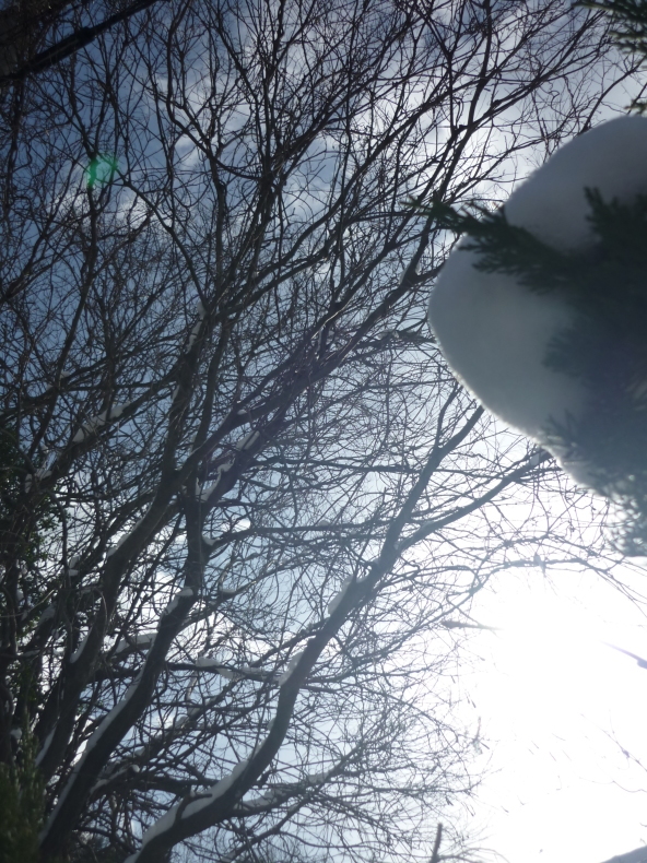 雪が溶けはじめ 緑のオーブが写りました ペイント雑貨教室 春くま