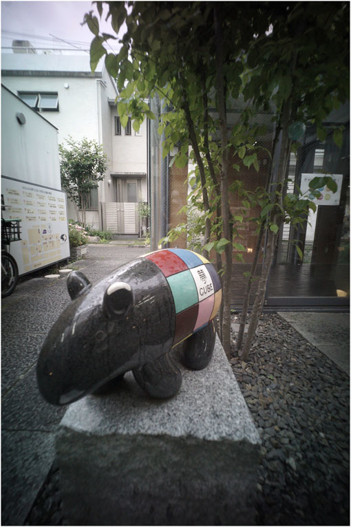 875.02 生き生きと(2020年5月30日ホロゴン15mmF8は勝手知ったる奈良町をのびのび散歩)2 心に音楽を_c0168172_01101125.jpg