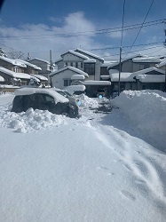 寒波襲来、記録的豪雪― 被害に遭われた方に心からお見舞い申し上げます_c0133503_07252149.jpg