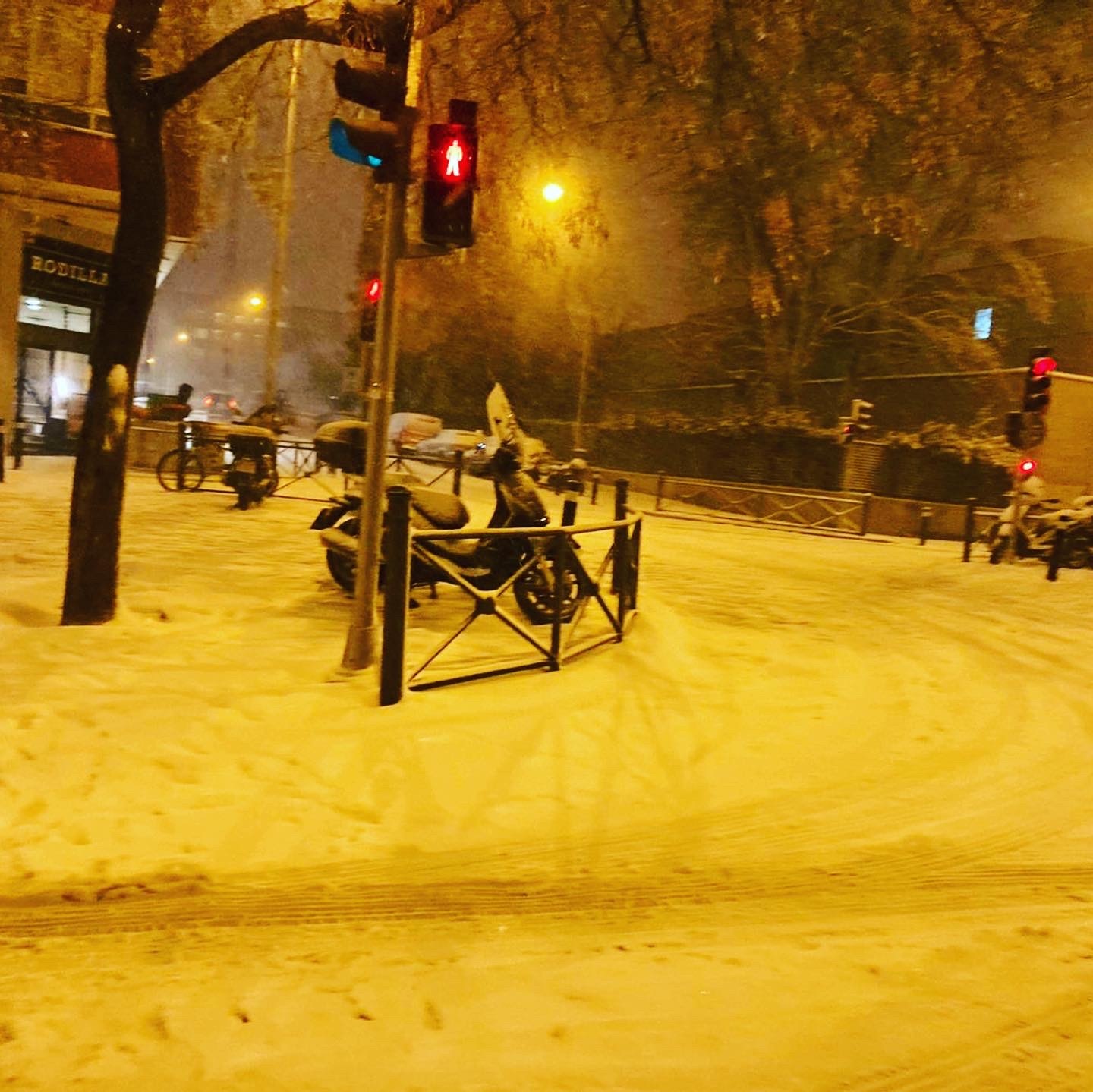 スペイン生活の中の驚き 50年ぶりの50年ぶりの大雪 恋するスペイン