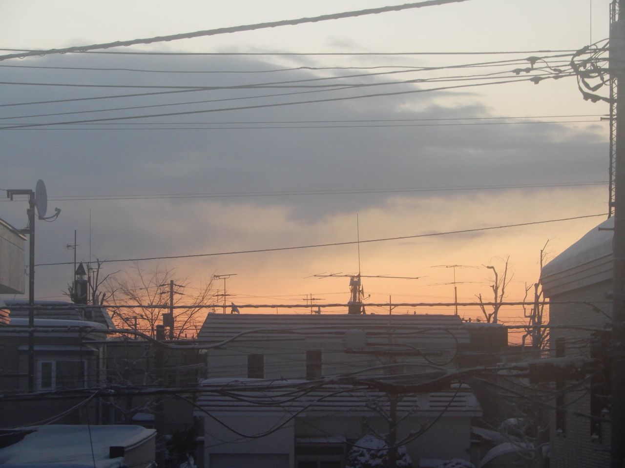 連続真冬日最後の夜になるか_c0025115_21283204.jpg