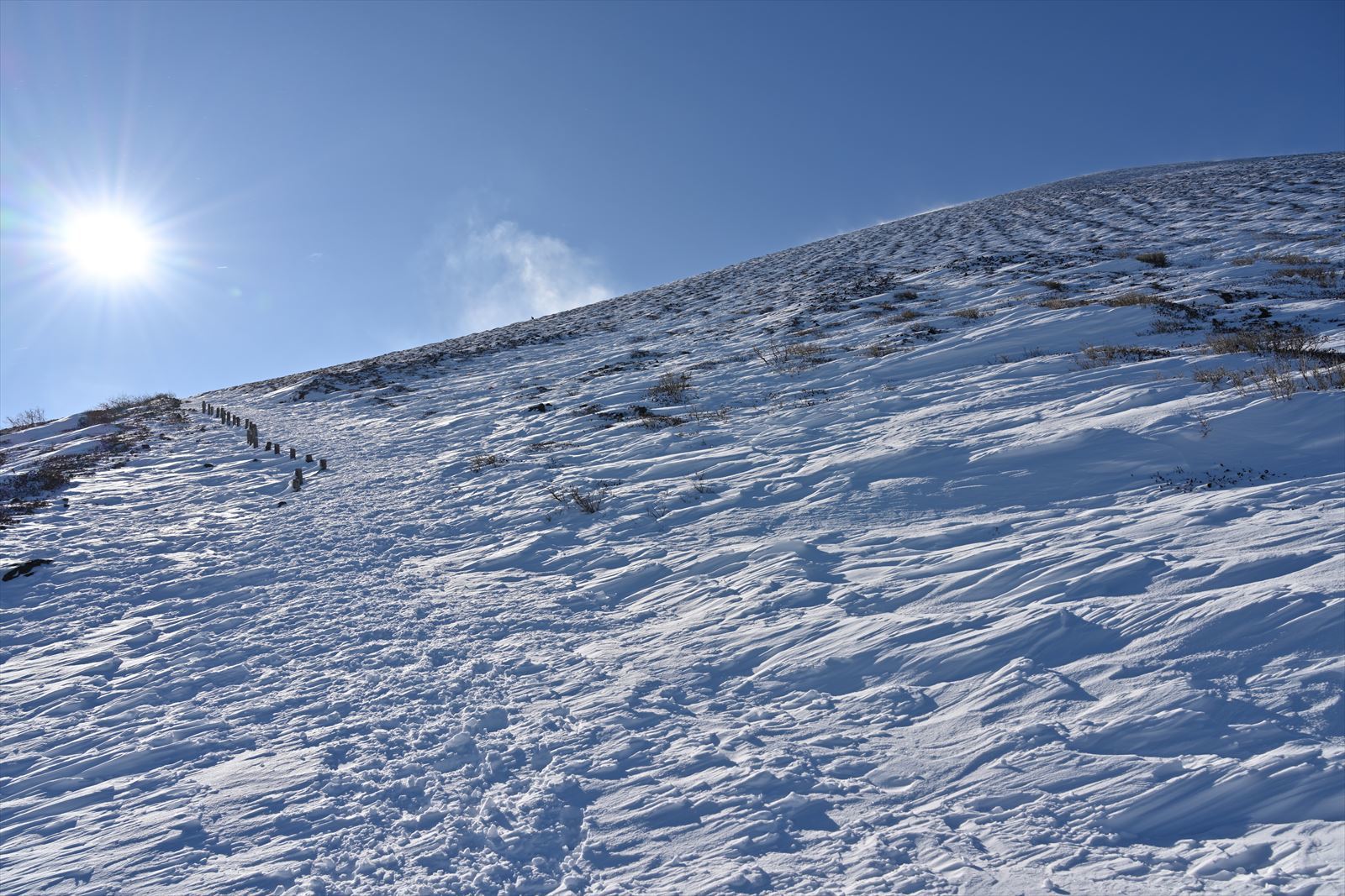 【登り初め】－23.5℃の朝　樽前山へ！～気になる噴煙～　2021.1.10_a0145819_16133943.jpg