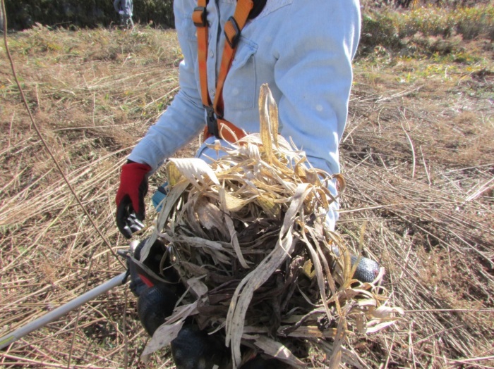 今年の初草刈り（野焼きの準備)をしました_b0175921_12500995.jpg