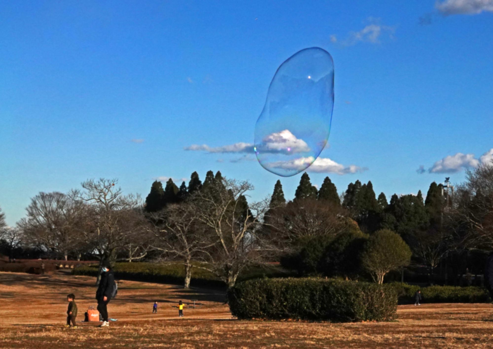 シュールな光景 イーハトーブ ガーデン