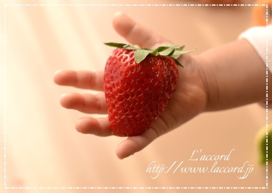 癒しのいちご🍓_f0275956_21584662.jpg