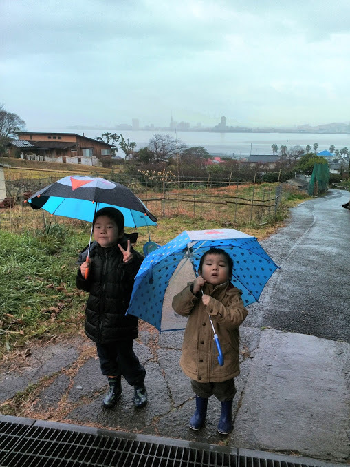 2021/1/11 今日の島暮らし/いそべえへ_f0201157_12471444.jpg