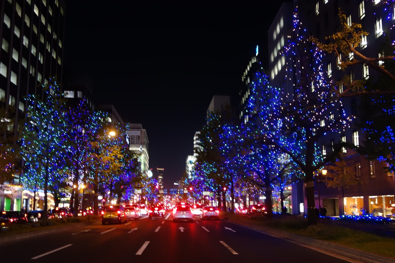 御堂筋イルミネーション　心斎橋の夜景_c0112559_08082160.jpg