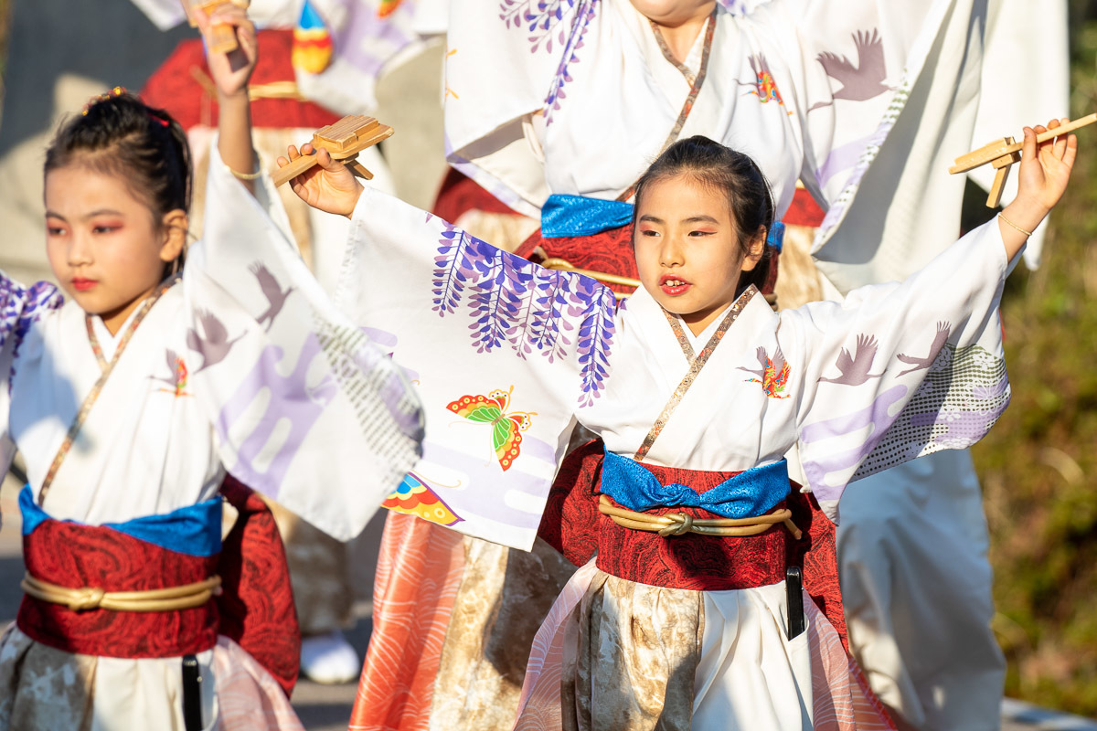 2020年度 さぬき舞人新曲お披露目 さぬき舞人 正調よさこい鳴子踊り その1_a0077663_09265269.jpg