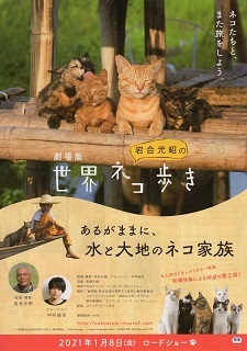 『岩合光昭の世界ネコ歩き/あるがままに、水と大地のネコ家族』(2021) _e0033570_08121778.jpg