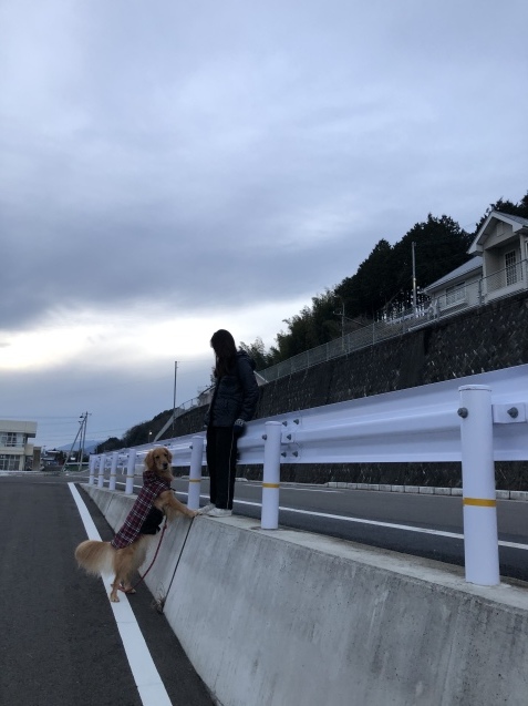 わからない。_a0394574_22284554.jpeg