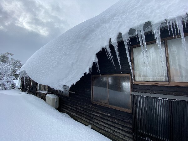 今朝の鞁筒 その2_d0138082_22321628.jpg