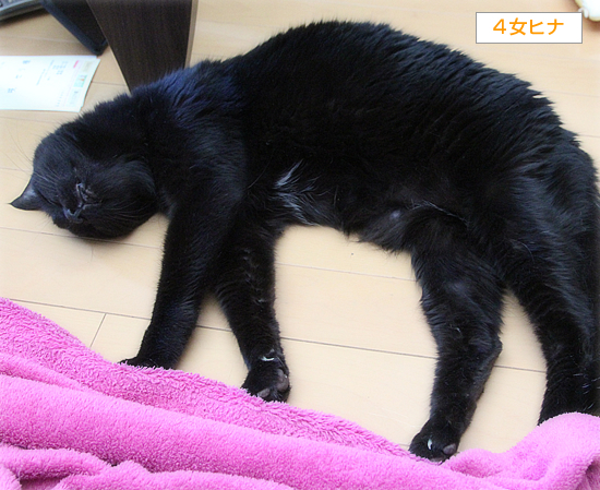 一緒にぐーすか_a0389088_02290827.jpg