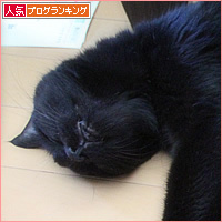 一緒にぐーすか_a0389088_02290962.jpg