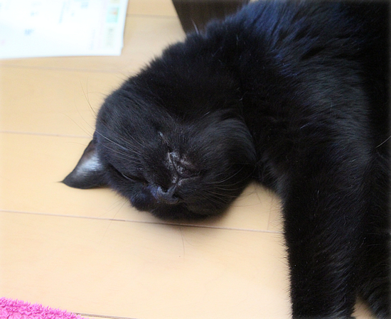 一緒にぐーすか_a0389088_02290984.jpg