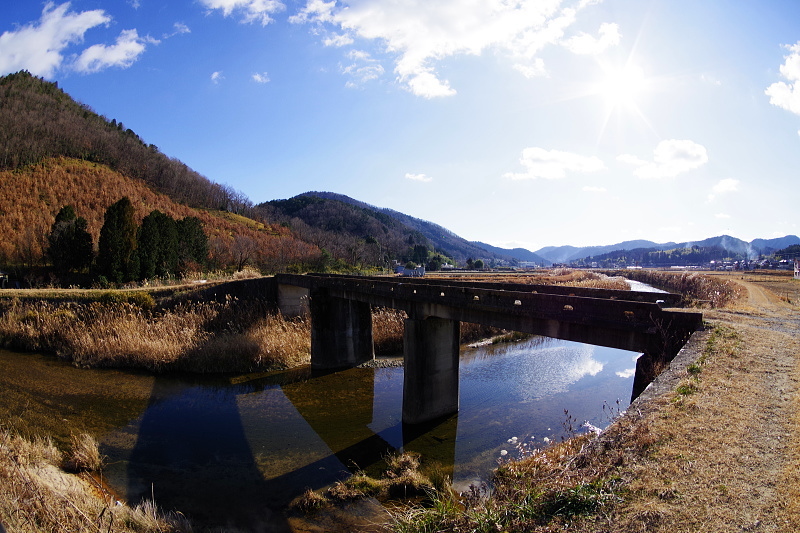 水鳥の生息数調査_a0211291_18324370.jpg