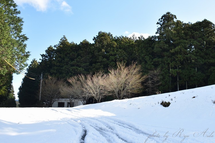 トンネルのこちら_f0332795_21344072.jpg