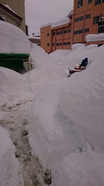 除雪_c0212598_16533363.jpg
