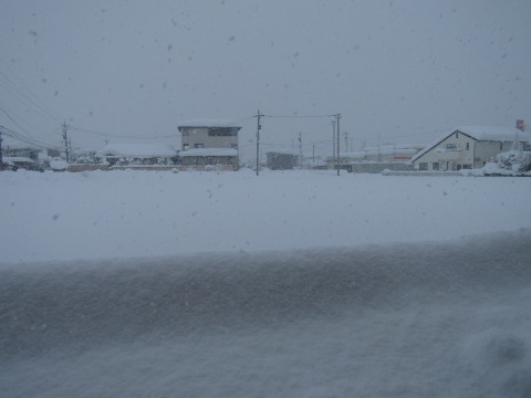 雪との闘い　<1月1１日・速報>_f0281398_09495423.jpg