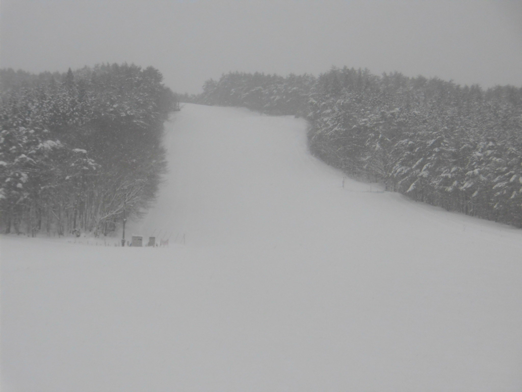 令和３年１月12日 火 天気 雪 気温 6 風 無 積雪 80 滑走可能 奥州市越路スキー場