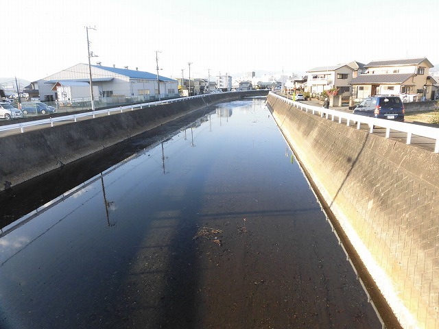 浚渫後、1年間でかなり元に戻りつつある小潤井川_f0141310_08070642.jpg