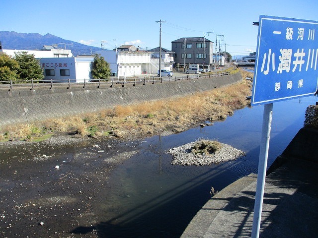 浚渫後、1年間でかなり元に戻りつつある小潤井川_f0141310_08075317.jpg
