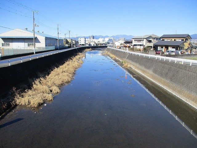 浚渫後、1年間でかなり元に戻りつつある小潤井川_f0141310_08083462.jpg
