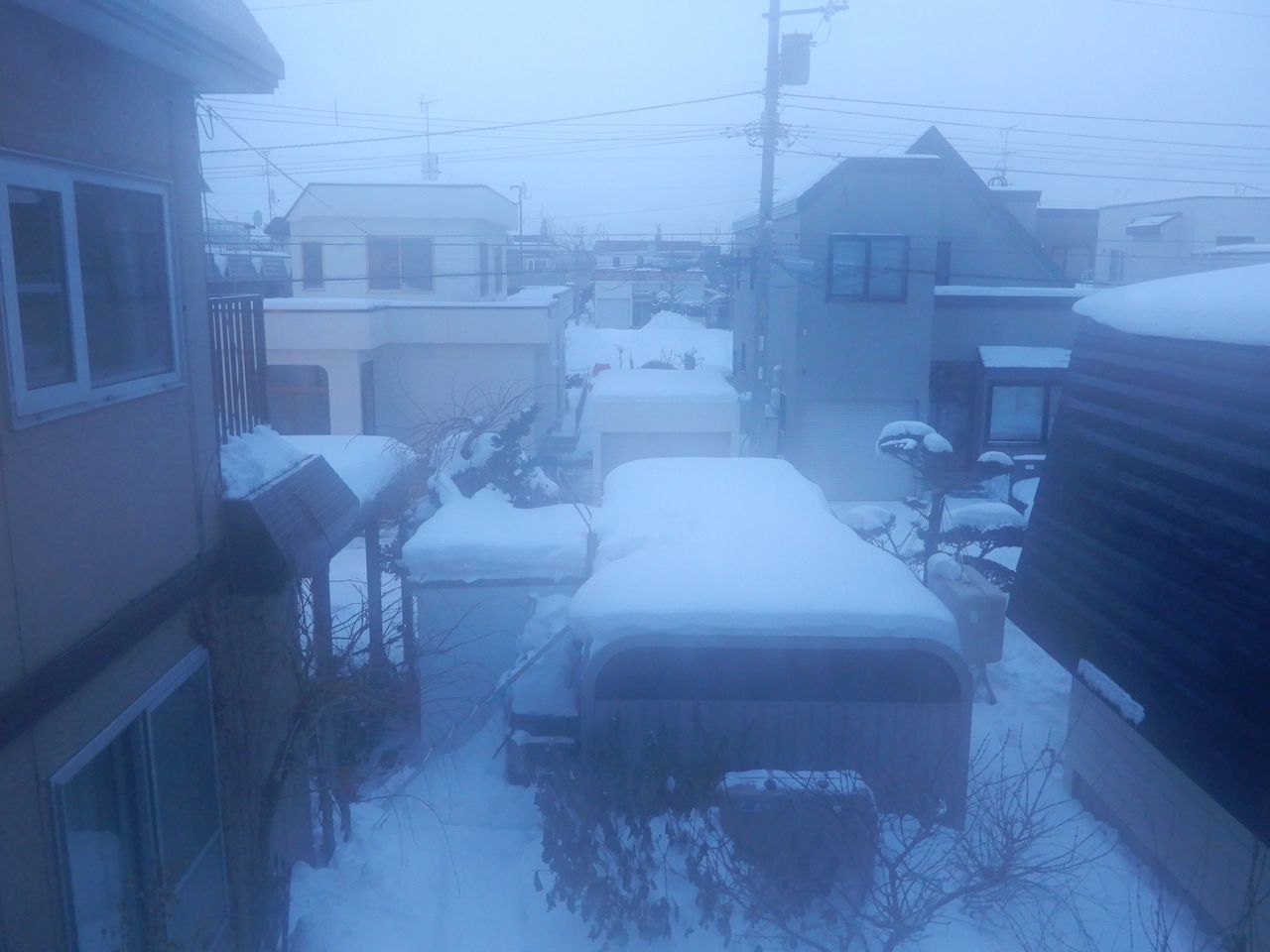 17日続いた真冬日からようやく抜けました_c0025115_21193241.jpg