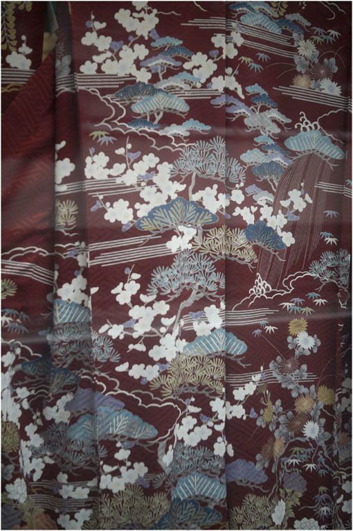 2210 冬のソナタ(2020年6月1日ジュピター35mmF2.8は奈良町の本通りでさりげなく歌った)_b0226423_01112344.jpg