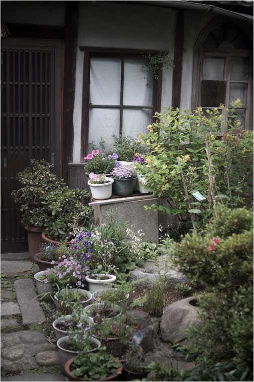 2210 冬のソナタ(2020年6月1日ジュピター35mmF2.8は奈良町の本通りでさりげなく歌った)_b0226423_01124924.jpg