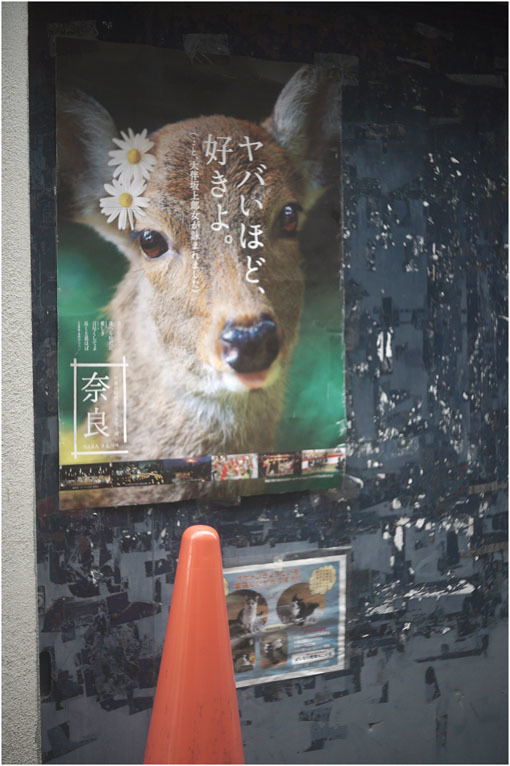 2210 冬のソナタ(2020年6月1日ジュピター35mmF2.8は奈良町の本通りでさりげなく歌った)_b0226423_01203376.jpg