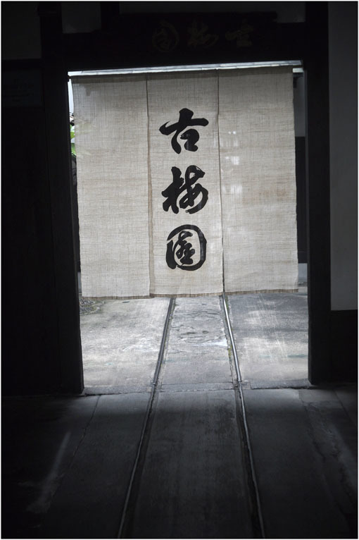 2210 冬のソナタ(2020年6月1日ジュピター35mmF2.8は奈良町の本通りでさりげなく歌った)_b0226423_01251036.jpg