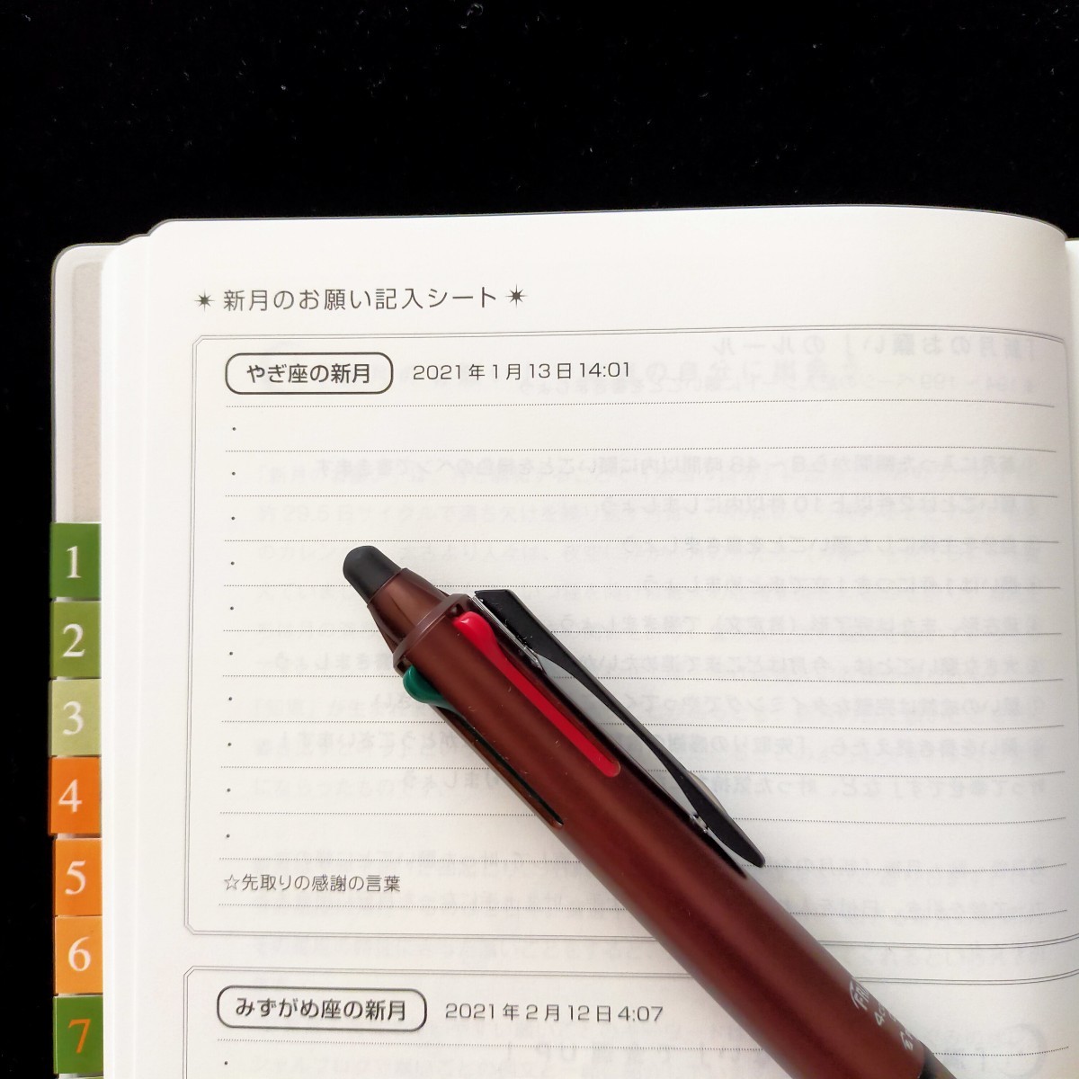 220102 「新月のお願い」INやぎ座の例文_f0164842_12115157.jpg