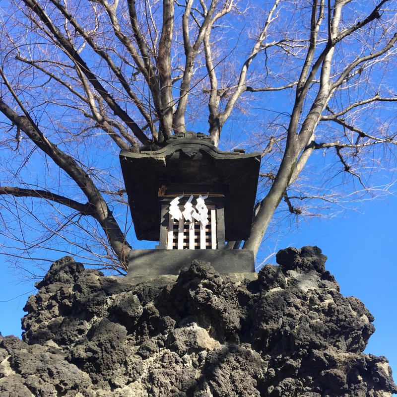 富士山登頂!バーチャルですけど_c0060143_21275239.jpg