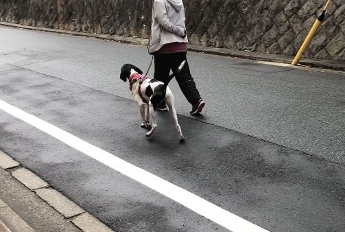 トレーニングブログ_f0357682_00054789.jpeg