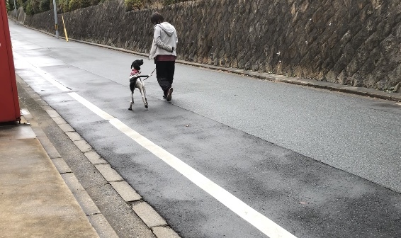 トレーニングブログ_f0357682_00055773.jpeg