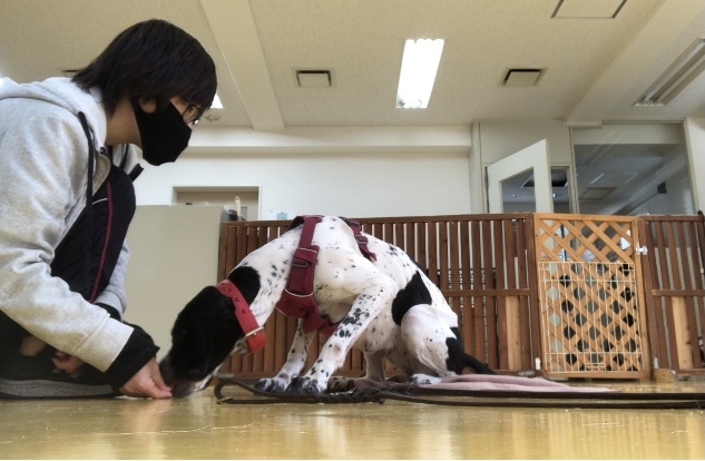 トレーニングブログ_f0357682_00131565.jpeg