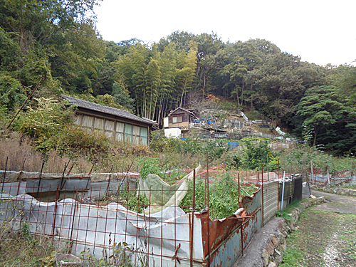 浜田省吾生写真4枚 浜田省吾生写真4枚 maxresdefault.jpg