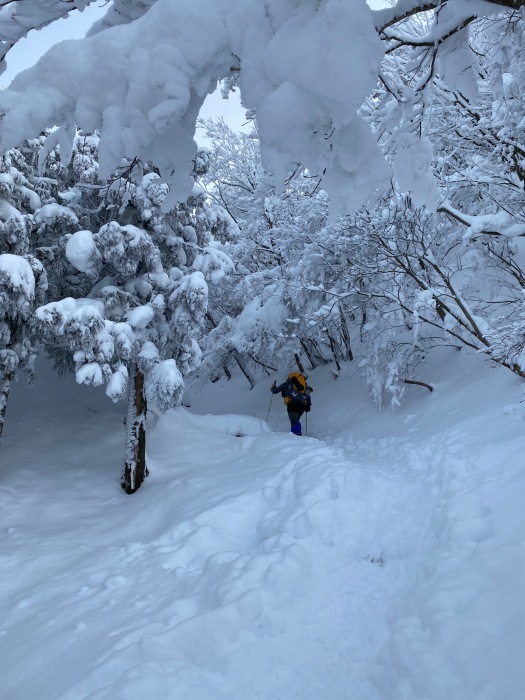 ふぐの白子と雪山登山_f0232994_21304965.jpg