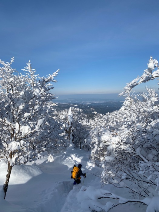 ふぐの白子と雪山登山_f0232994_22323485.jpg