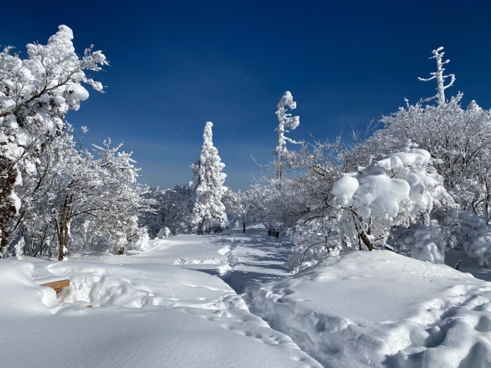 ふぐの白子と雪山登山_f0232994_22355550.jpg