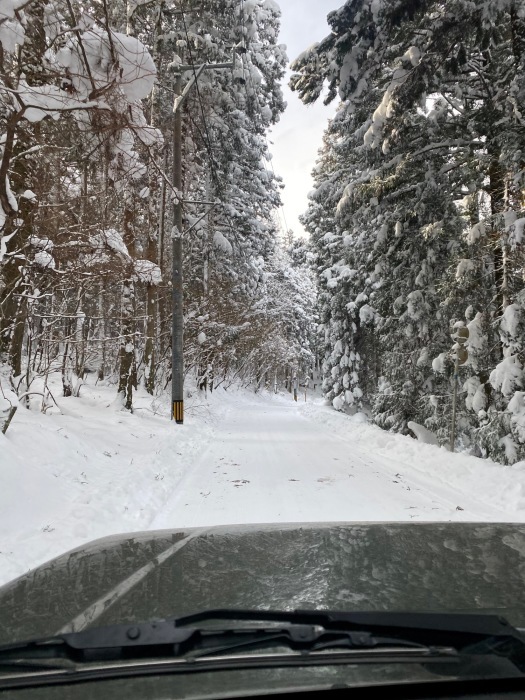 ふぐの白子と雪山登山_f0232994_22402381.jpg