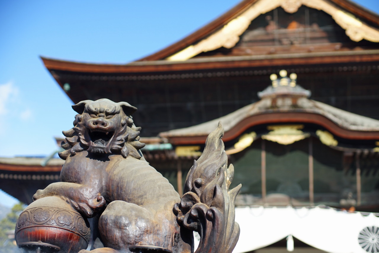 奥信濃から 花農家のフォトスケッチ